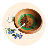 Side Dish Powders